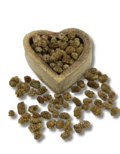 Gojiberries Moruša biela sušená 500 g